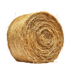 bale of hay isolated on transparent background, clipping path, png