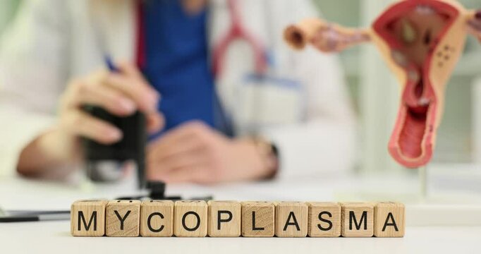 Doctor points at anatomical model of female reproductive system near cubes with Mycoplasma. Woman explains infection diagnosis consultation in clinic