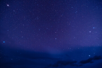 Starry night sky, celestial display of twinkling stars and deep blue twilight