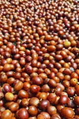 Coffee beans drying in the sun  