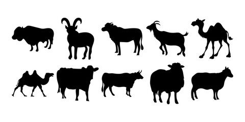 Eid Al Adha Animal Silhouette