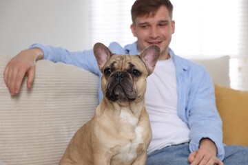 Adorable French bulldog dog and his happy owner on sofa at home, selective focus
