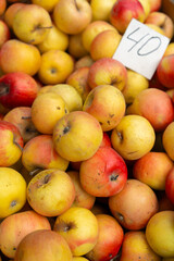 Fresh apples on display at a bustling farmers market during autumn season in a vibrant rural community