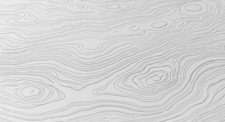 Fototapeta premium Topographic contour lines isolated on white background for mapping, geography, and design projects.