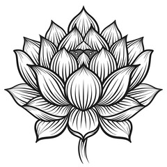 Fototapeta premium Still life lotus with rippling pads high resolution picture