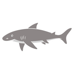 shark vector illustration