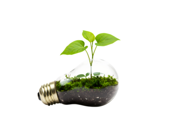 Green Energy Sustainable Growth  EcoFriendly Solutions on Transparent background