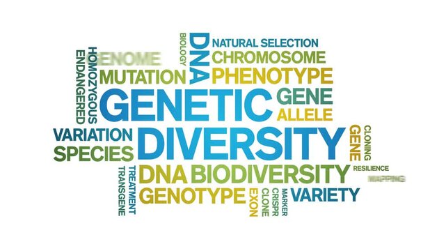 Genetic Diversity animated word cloud;text design animation tag kinetic typography seamless loop.