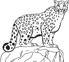a wild leopard, a spotted feline predator, standing on a mountain Coloring Page.