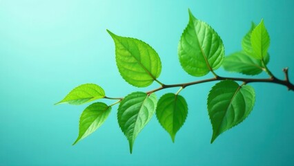 Vibrant Green Leaves on a Branch Against a Teal Background, Symbolizing Spring's Renewal and the Beauty of Nature's Simple Elegance