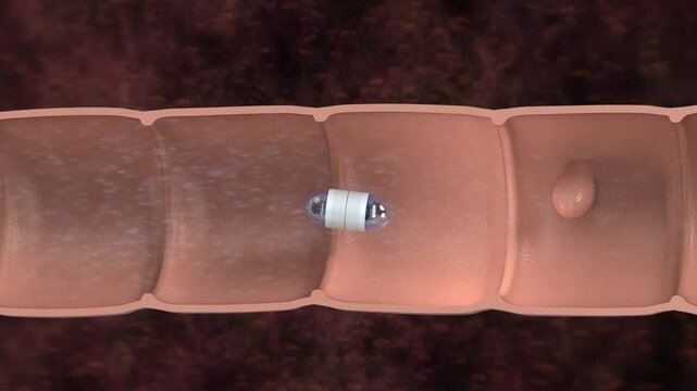 3d rendering capsule endoscopy in intestine cutaway 4k footage