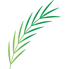Naklejka premium Palm Leaf Decoration