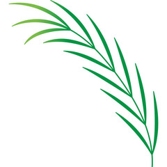Palm Leaf Decoration