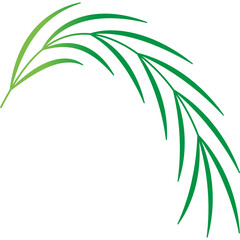 Palm Leaf Decoration