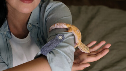 A leopard gecko sits on a woman s arm as she smiles warmly. This image highlights the joy and...