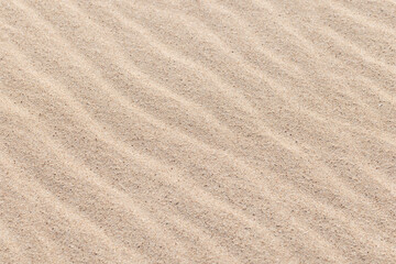 Detailed view of a sandy surface featuring ripples