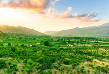 Poster sunset valley landscape with green trees and gardens among beautiful mountains with colorful cloudy sky on background
