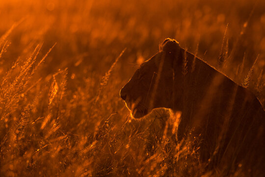 autumn in the forest