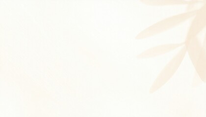 Relaxing nature scene with soft shadows outdoor garden minimalist aesthetic calm atmosphere close-up view