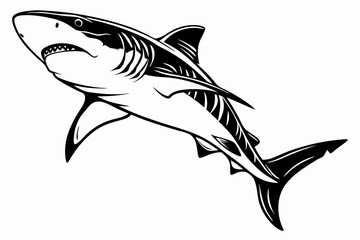 tiger shark sihouette black vector