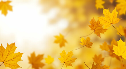 Fototapeta premium Golden Autumn Leaves Falling Against a Warm Background of Nature