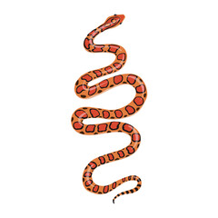 Fototapeta premium vector drawing corn snake isolated at white background, hand drawn illustration