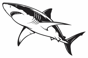 shark sihouette black vector