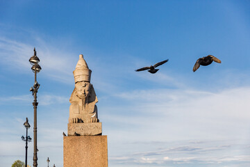 Sphinxes on the University Emb are sculptures of zoomorphic mythical creatures