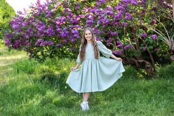 Closeup Portrait of a pretty young little girl with long hair and in dress is standing in a lilac...