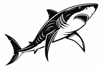 Obraz premium great white shark silhoette black vector