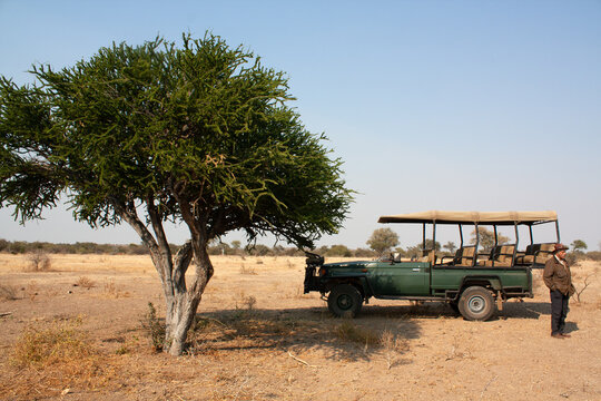 Senior man on safari standing next to a 4x4 in the bush, Botswana