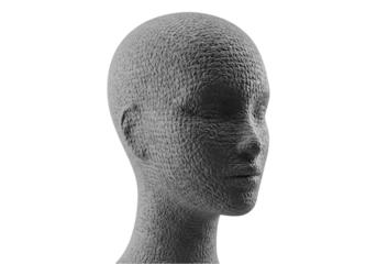 Disintegrating Head 3D Render of Digital Decay on Transparent background