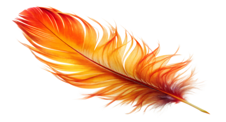 red and white feathers isolated on white background. PNG Transparent file type with High Definition Quality