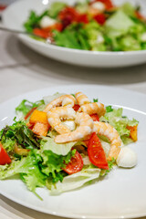 Fresh salad featuring vibrant greens, shrimps, and colorful vegetables, showcasing a healthy meal option