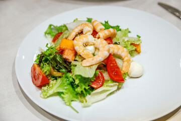 Vibrant salad with fresh greens, shrimps, and assorted vegetables, highlighting a nutritious and appetizing dish