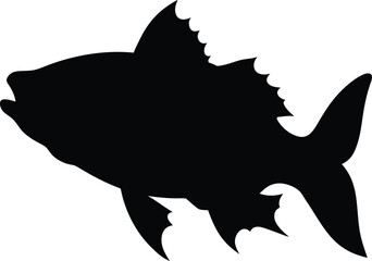 striped bass fish isolated silhouette