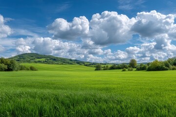 Fototapeta premium Serene Green Fields Under a Summer Sky: Pastoral Landscape Painting