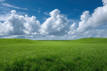 Fototapeta premium Serene Green Meadow under a Dramatic Sky: Pastoral Landscape Photography