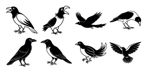 vector set of crow On white Background