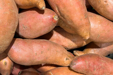 Fresh brown sweet potatoes piled together, earthy texture of batata and vibrant color, perfect for healthy cooking and nutrition-focused recipes