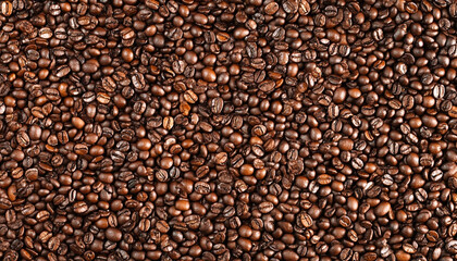 Many roasted coffee beans on white background