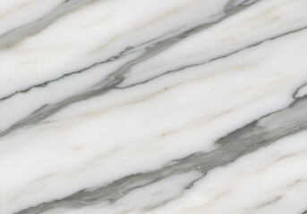 Obraz premium Grey Web Vein Carrara White Marble Closeup Polished Stone