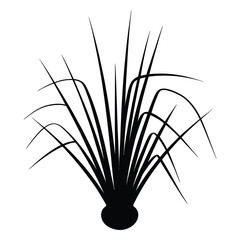 Lemongrass Base Silhouette, Vector, Illustration, Icon, Logo, White Background.