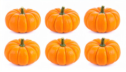 Obraz premium Ripe Orange Pumpkin on White – Fall Harvest Concept