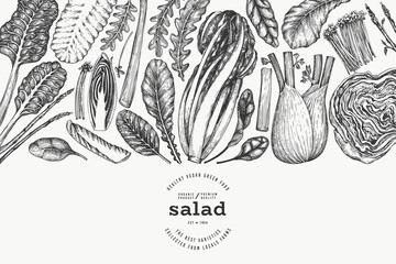 Green Vegetable Design Template. Vector Hand Drawn Healthy Leaf Salad Banner. Vintage Style Menu Illustration.
