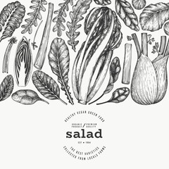 Green Vegetable Design Template. Vector Hand Drawn Healthy Leaf Salad Banner. Vintage Style Menu Illustration.