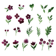 Collection of burgundy watercolor flowers and branches. Cute stylized flowers set, tiny florals, wild flowers, ferns, leaves, lush foliage, greenery. Botanical illustration elements.