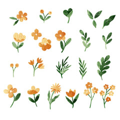 Collection of orange watercolor flowers and branches. Cute stylized flowers set, tiny florals, wild flowers, ferns, leaves, lush foliage, greenery. Botanical illustration elements.