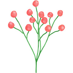 Watercolor Red Berry Branch Clipart — Hand-painted Berries PNG