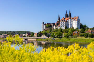Meißen an der Elbe mit Burgberg, Dom und Albrechtsburg im Sommer